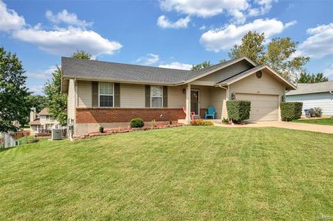317 Bristol Pl, O'fallon, MO 63366 photo 1