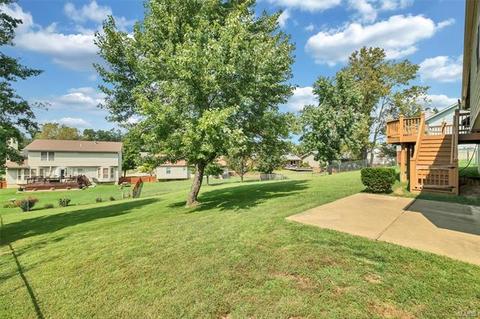 317 Bristol Pl, O'fallon, MO 63366 photo 18