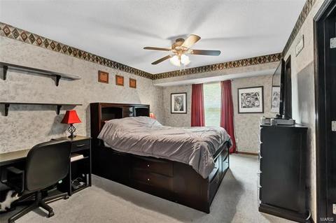 317 Bristol Pl, O'fallon, MO 63366 photo 5