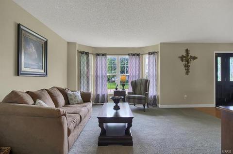 81 Sternwheel Ct, Saint Charles, MO 63304 photo 8
