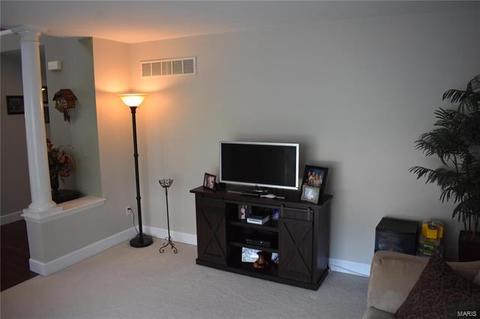 306 Abingdon Ct, O'fallon, MO 63368 photo 44