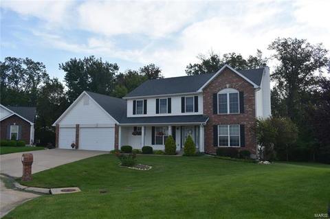 306 Abingdon Ct, O'fallon, MO 63368 photo 2