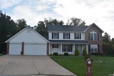 306 Abingdon Ct, O'fallon, MO 63368 photo 1