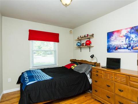 4 Hollywood Dr, O'fallon, MO 63366 photo 21