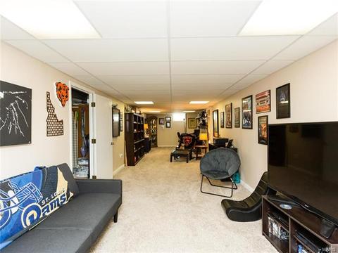 4 Hollywood Dr, O'fallon, MO 63366 photo 30