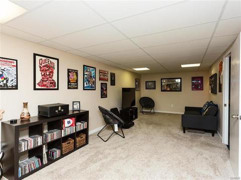 4 Hollywood Dr, O'fallon, MO 63366 photo 28