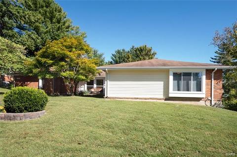 614 Spring Meadows Dr, Ballwin, MO 63011 photo 25