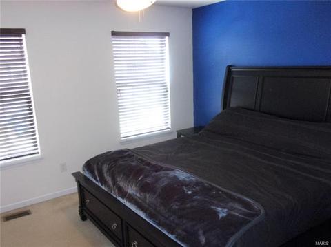 463 Wild Oak Dr, O'fallon, MO 63368 photo 9