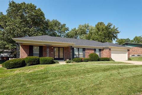 309 Shady Meadows Dr, Ballwin, MO 63011 photo 32