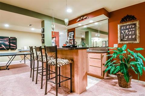 2531 Johnson Place Dr, Ballwin, MO 63021 photo 23