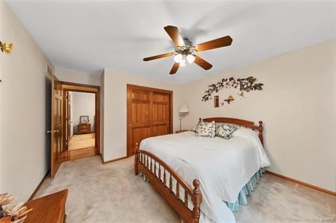 4132 Alt Rd, Wildwood, MO 63025 photo 23