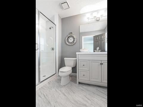 2404 Himalayan Pass Ct, Wildwood, MO 63011 photo 13