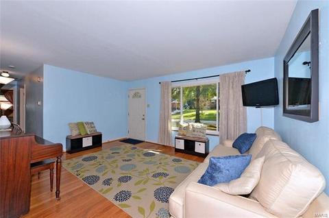 10041 Zenith, Saint Louis, MO 63123 photo 4