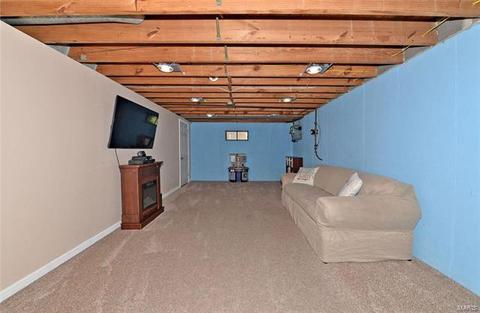 10041 Zenith, Saint Louis, MO 63123 photo 20