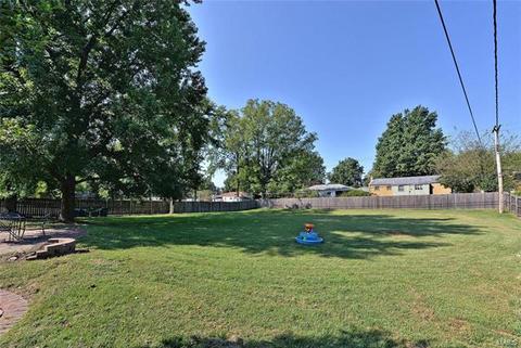 10041 Zenith, Saint Louis, MO 63123 photo 26