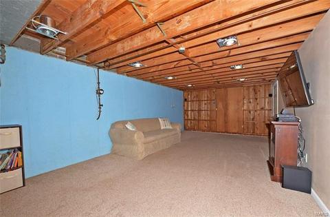 10041 Zenith, Saint Louis, MO 63123 photo 19