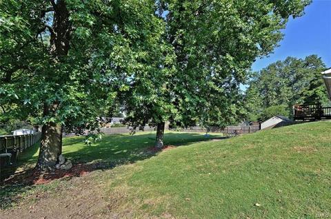 10041 Zenith, Saint Louis, MO 63123 photo 27