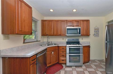 10041 Zenith, Saint Louis, MO 63123 photo 9
