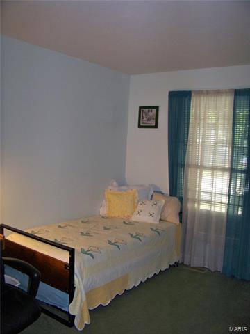 207 Addison Dr, Saint Peters, MO 63376 photo 21