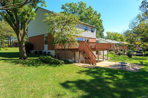 685 Henry Ave, Manchester, MO 63011 photo 20