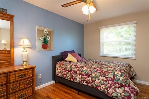 685 Henry Ave, Manchester, MO 63011 photo 12
