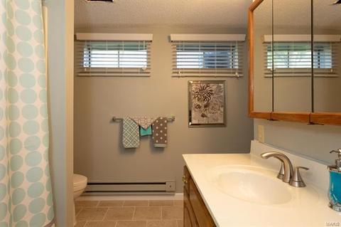 685 Henry Ave, Manchester, MO 63011 photo 18