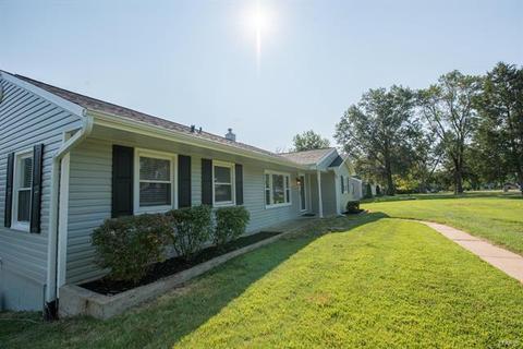 110 Robin Hill Ln, Ballwin, MO 63021 photo 47