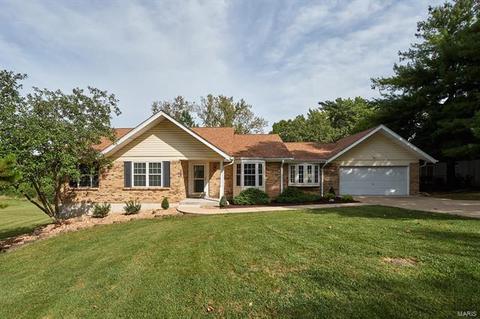 1031 Treeline Ct, Manchester, MO 63021 photo 1