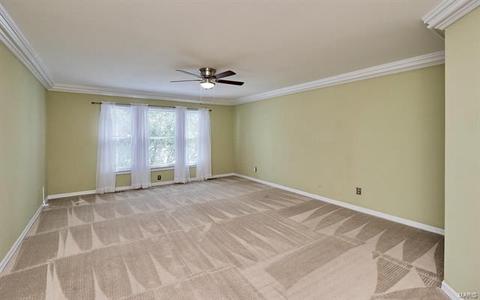 815 Ivy Trce, Ballwin, MO 63021 photo 16
