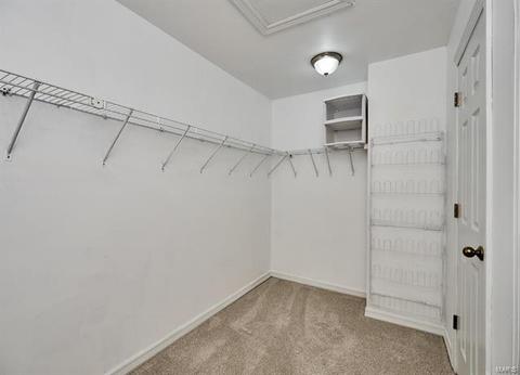 815 Ivy Trce, Ballwin, MO 63021 photo 20