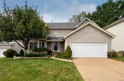 815 Ivy Trce, Ballwin, MO 63021 photo 1