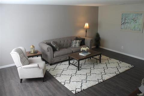 803 Seib Dr, O'fallon, MO 63366 photo 2