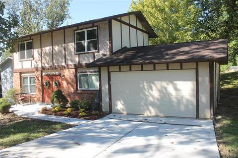 803 Seib Dr, O'fallon, MO 63366 photo 1
