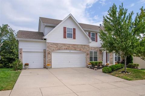 338 Palisades Ridge Ct, Eureka, MO 63025 photo 1