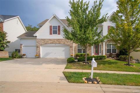 338 Palisades Ridge Ct, Eureka, MO 63025 photo 29