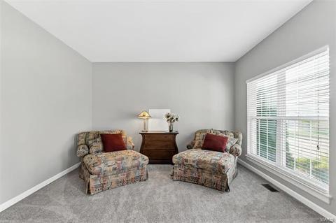 338 Palisades Ridge Ct, Eureka, MO 63025 photo 4