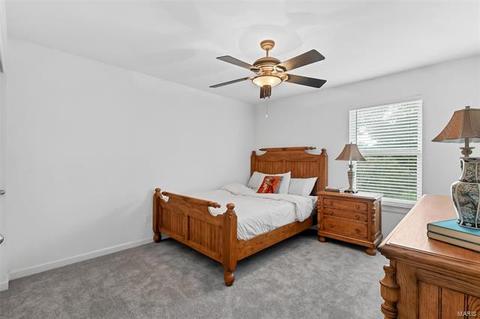 338 Palisades Ridge Ct, Eureka, MO 63025 photo 18