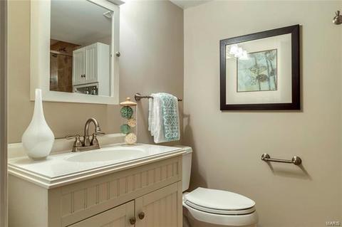 1312 Turtle Cv, Ballwin, MO 63011 photo 23