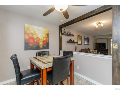 692 Walnut Point Ct, Ballwin, MO 63021 photo 14