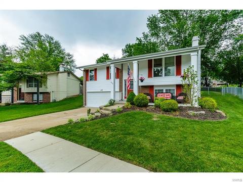 692 Walnut Point Ct, Ballwin, MO 63021 photo 44
