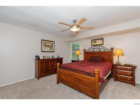692 Walnut Point Ct, Ballwin, MO 63021 photo 29