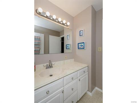 692 Walnut Point Ct, Ballwin, MO 63021 photo 34