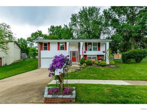 692 Walnut Point Ct, Ballwin, MO 63021 photo 51