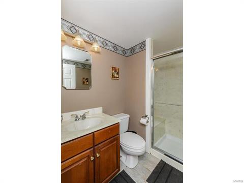 692 Walnut Point Ct, Ballwin, MO 63021 photo 41