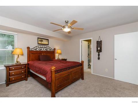 692 Walnut Point Ct, Ballwin, MO 63021 photo 30
