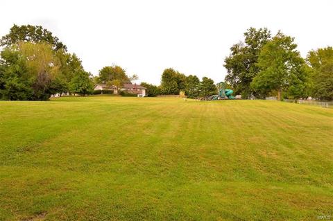 1082 Pinrun Dr, Ballwin, MO 63011 photo 69