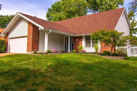 1082 Pinrun Dr, Ballwin, MO 63011 photo 70