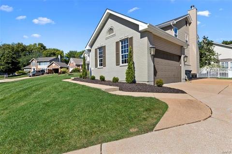 401 Ballwin Estates Ct, Ballwin, MO 63021 photo 44