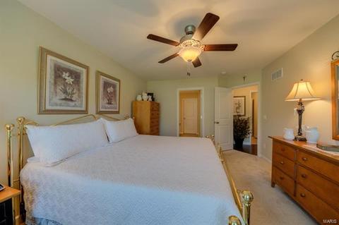 929 Daffodil Ridge Dr, O'fallon, MO 63366 photo 18