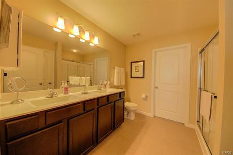 929 Daffodil Ridge Dr, O'fallon, MO 63366 photo 20
